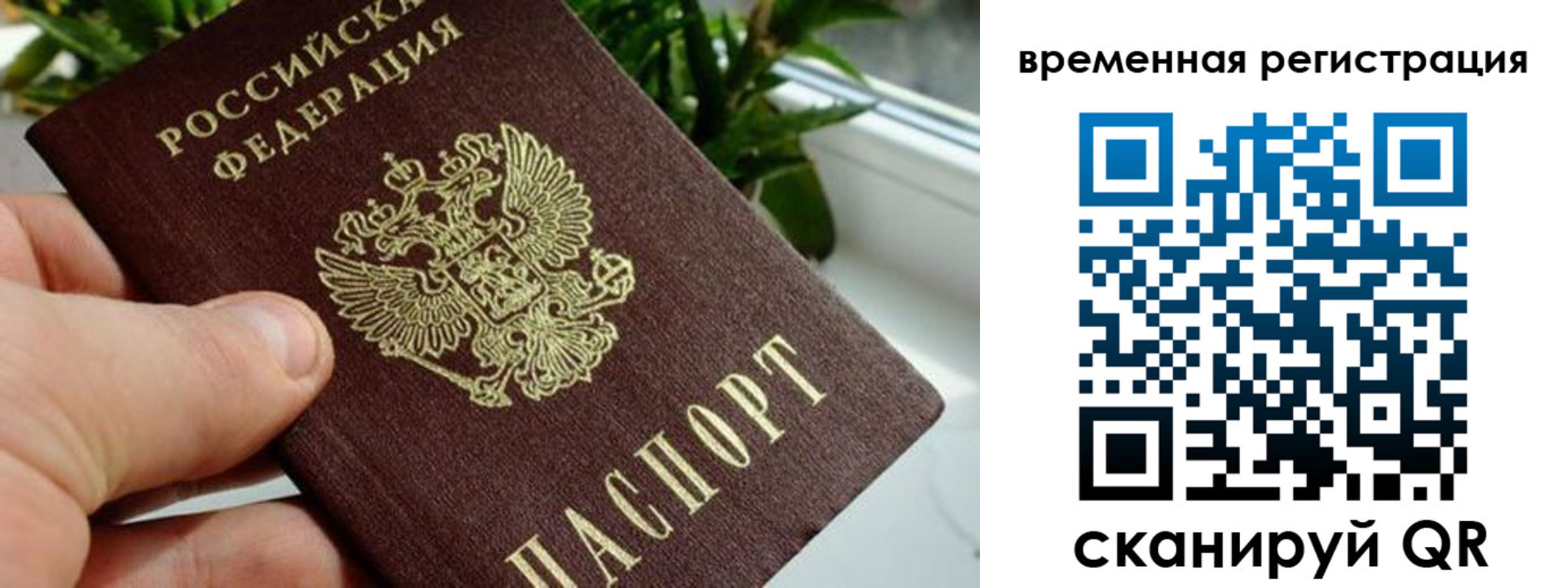прописка поиск в Удачном